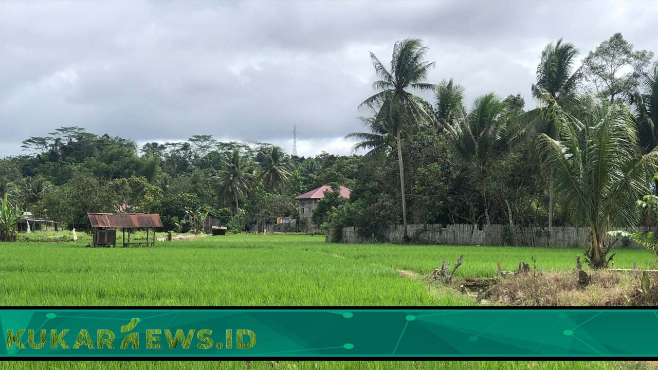 DPRD Kukar Dukung Pengembangan Pertanian Berbasis Kawasan
