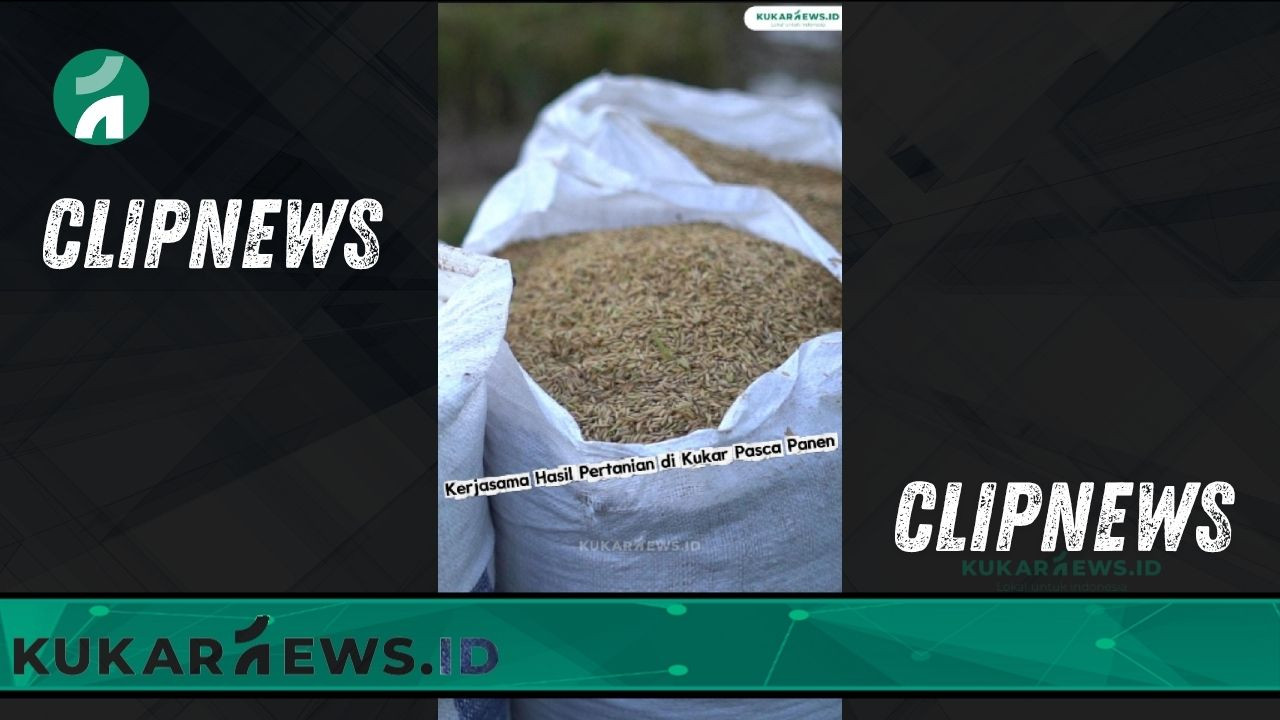 Kerjasama Hasil Pertanian di Kukar Pasca Panen - Clipnews