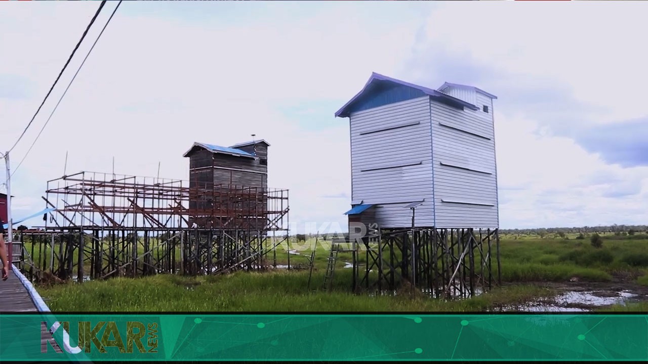 Pajak Sarang Walet Akan Dikembalikan ke Desa 