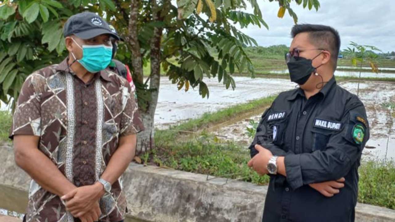 Rendi Solihin Tinjau Pembangunan Irigasi di Desa Loa Raya