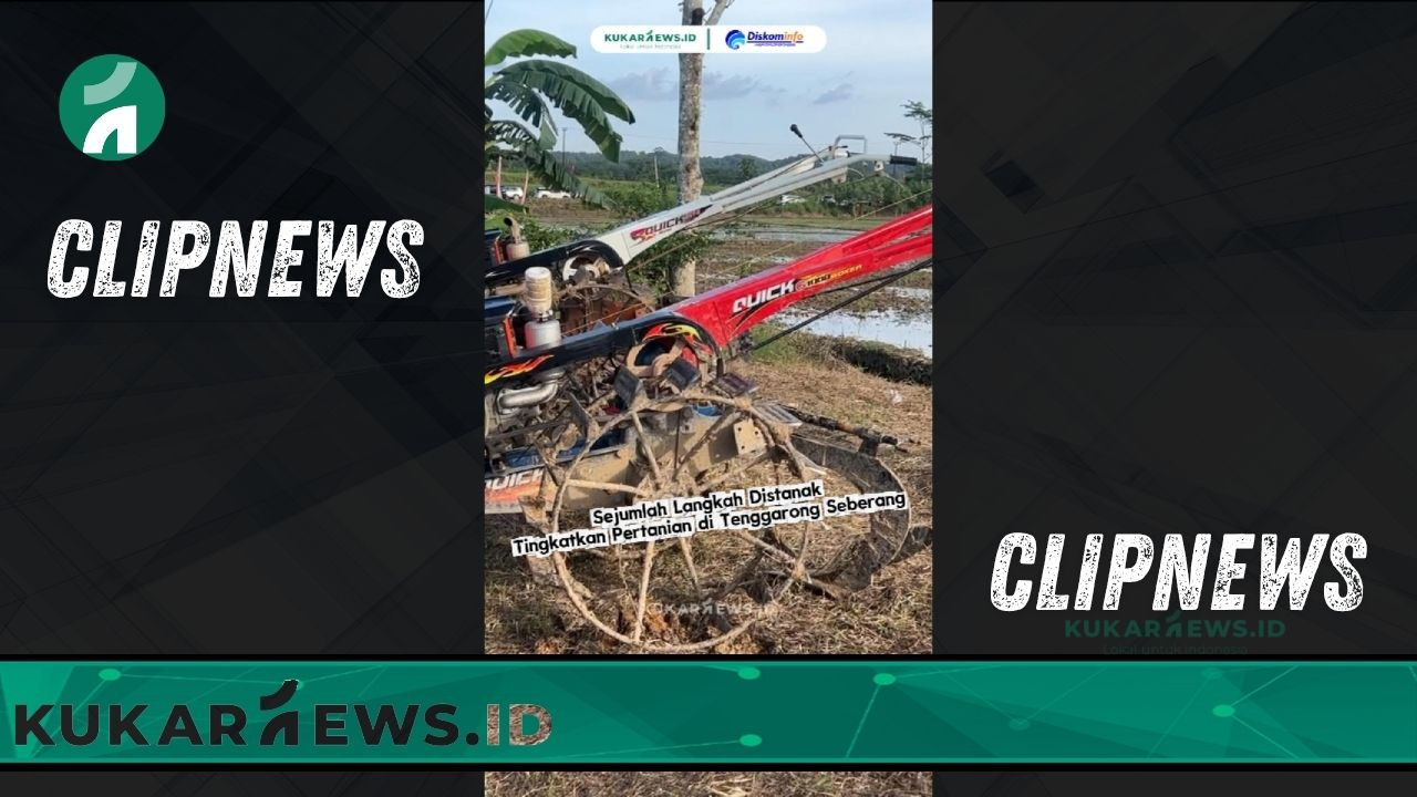 Sejumlah Langkah Distanak Tingkatkan Pertanian di Tenggarong Seberang - Clipnews