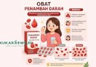 Cegah Stunting dari Hulu, Kukar Sasar Remaja Putri dengan Tablet Tambah Darah