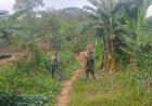 Buka Akses Poktan Rapak Etam, Alat Berat Satgas TMMD 130 Kebut Clearing Segmen 4 JUT