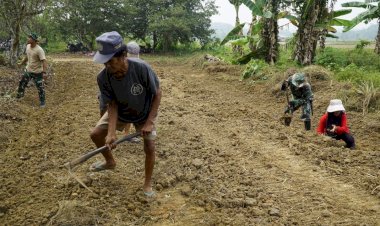 Pangkas Biaya Angkut Panen, Satgas TMMD 130 Geber Peningkatan Jalan Usaha Tani di Loa Kulu