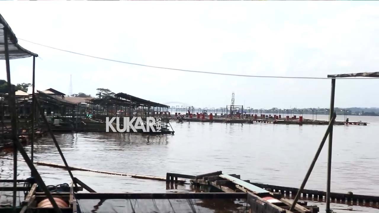 Pengembangan Budidaya Ikan dan Nelayan, Pemkab Kukar Siapkan Anggaran Rp 11 Miliar