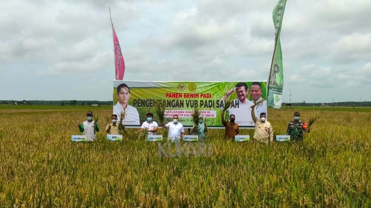 18 Ton Benih Padi Unggul Akan Disebar ke Petani Kaltim